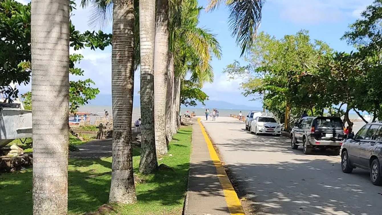 A palm-lined walkway in Sabana de la Mar, with the bay in the background.