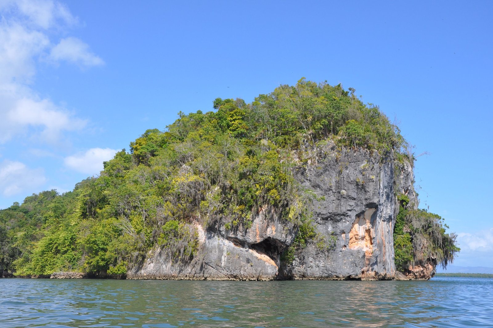 A wooded limestone formation in San Lorenzo Bay, Los Haitises National Park.